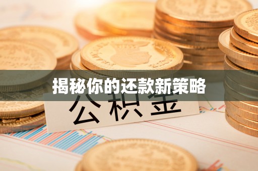 上杭揭秘你的还款新策略