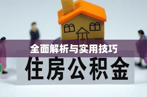 上杭全面解析与实用技巧