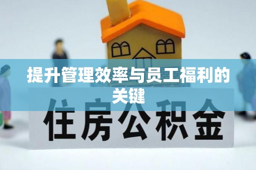 上杭提升管理效率与员工福利的关键