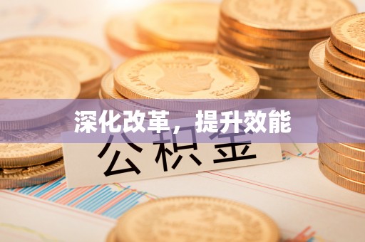 上杭深化改革，提升效能