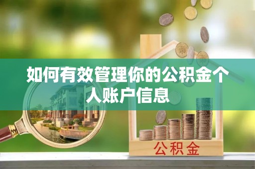 上杭如何有效管理你的公积金个人账户信息
