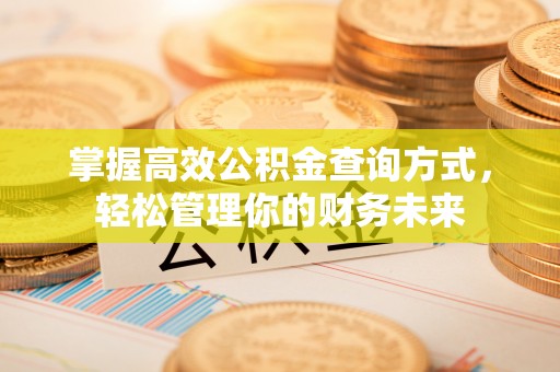 上杭掌握高效公积金查询方式，轻松管理你的财务未来