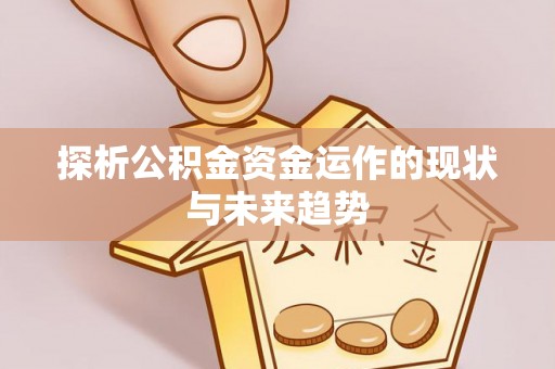 上杭探析公积金资金运作的现状与未来趋势