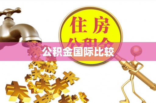 上杭公积金国际比较