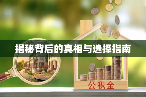 上杭揭秘背后的真相与选择指南