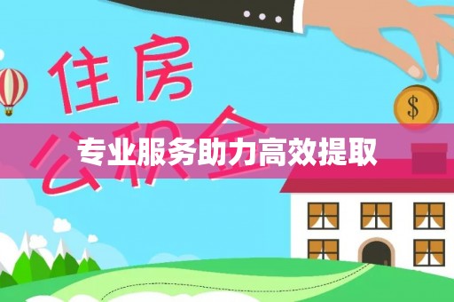 上杭专业服务助力高效提取