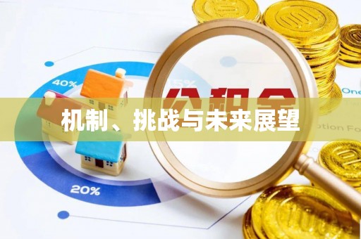 上杭机制、挑战与未来展望